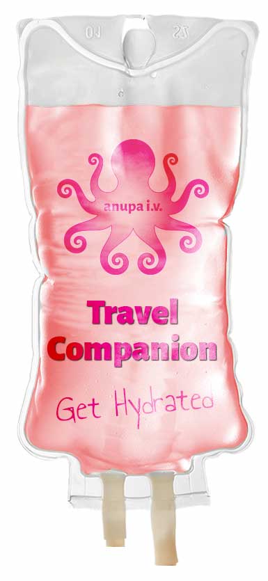 Anupa I.V. Travel Companion